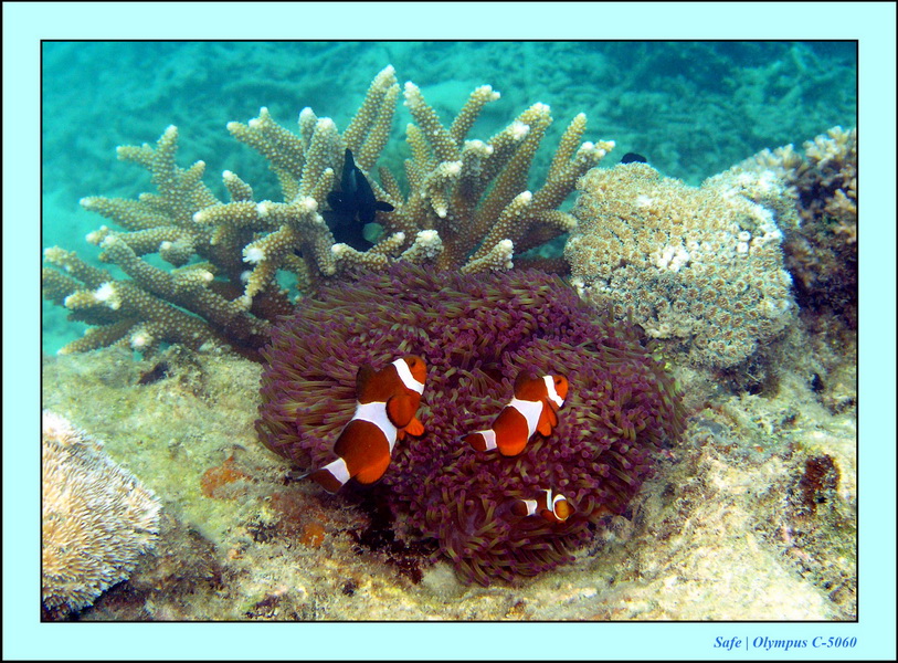 2005 - 08 - Perhentian  - 080.JPG